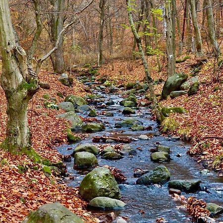 Апартаменты Gyoengyoes Munkasszallas Экстерьер фото